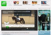Кубок по конному спорту посетил великий князь Романов. Источник: НТВ